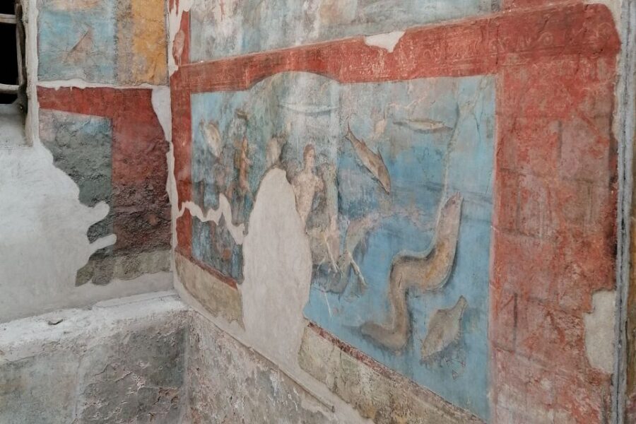 Pompeii: Guided Tour with Archaeologist with max. 12 People - Houses like the House of Menander: mosaics, frescoes, and class signals