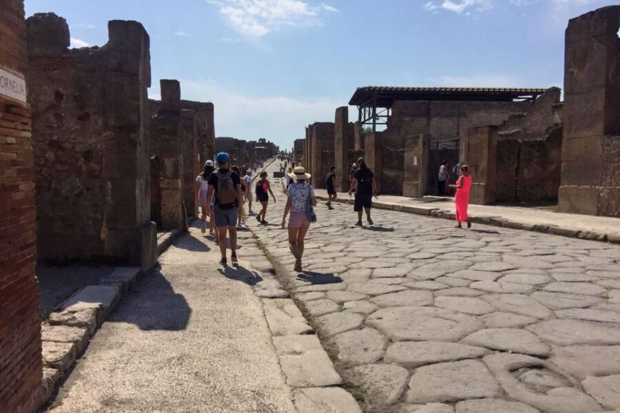 Pompeii: Guided Walking Tour with Entrance Ticket - Skip-the-Line Entry: What Changes Your Time at Pompeii