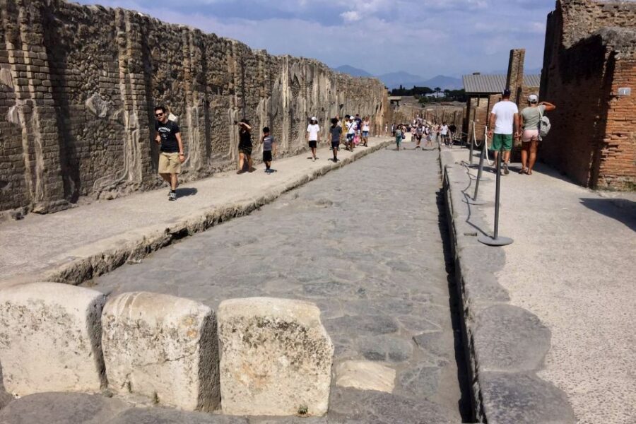 Pompeii: Guided Walking Tour with Entrance Ticket - Where You Meet at 10:50 and How to Not Miss the Group
