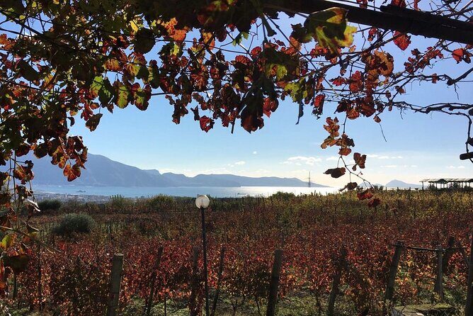 Pompeii, Mt Vesuvius and Wine Tour - Drivers Make or Break the Day on Amalfi Roads