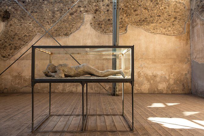 Pompeii & Mt.Vesuvius Day Tour from Naples with Pizza Lunch - The crater experience: guided views, steam, and the chance it’s limited
