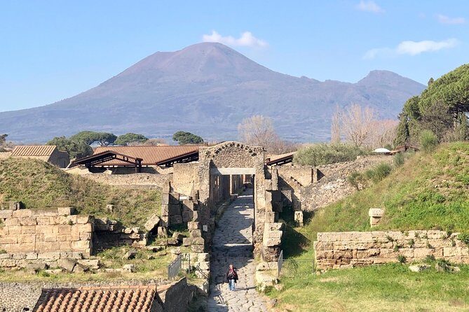 Pompeii New Discoveries Private Guided Tour - Price and value: you’re paying for the guide plus the admission extra