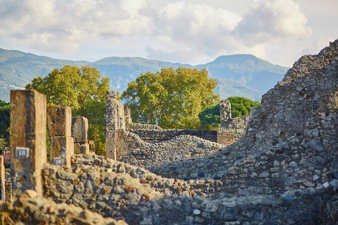 Pompeii Private & Personalized Tour with archeology expert guide - Comfort and site rules: how to avoid wasting your day