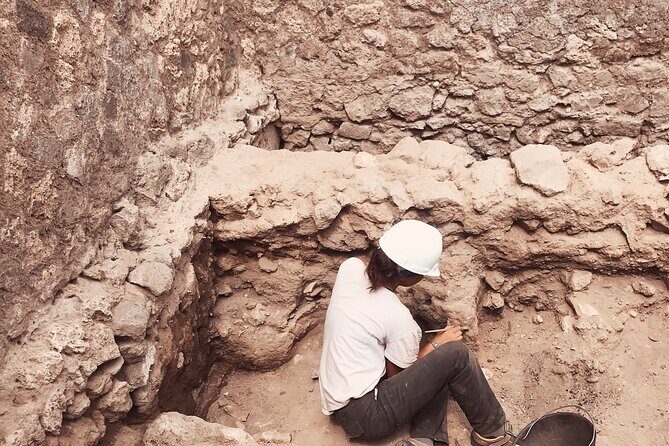 Pompeii Private Tour with an Archaeologist and Skip The Line - Value for Money: $375.05 per group, plus the real cost