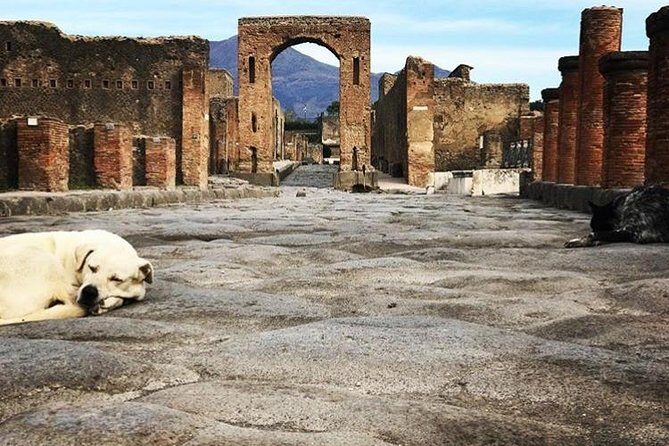 Pompeii Private Tour with Expert Guide - Priority admission: your fast track into Pompeii