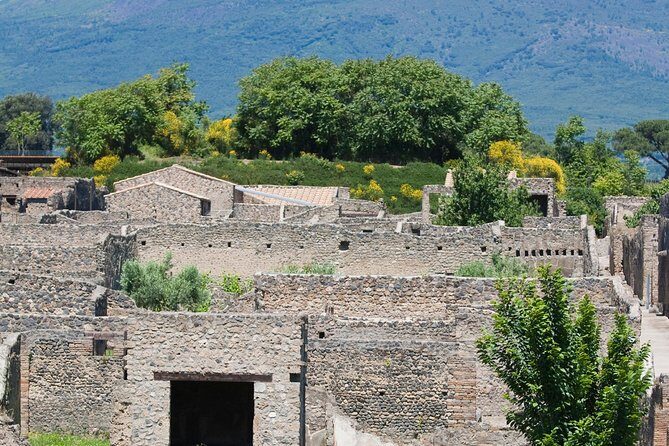 Pompeii Ruins Half-Day Tour from Sorrento with Guide - Best Season and Who This Tour Fits