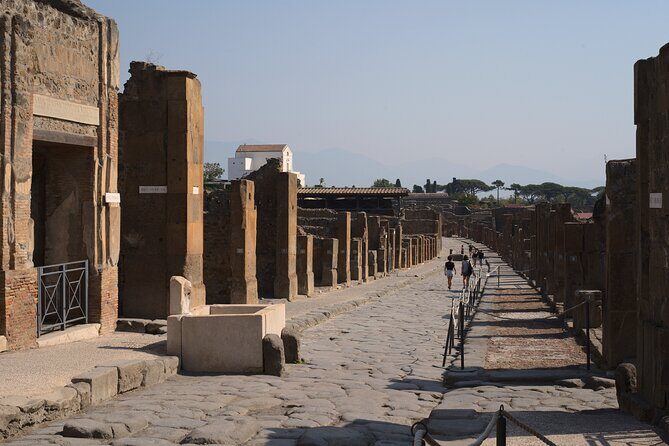 Pompeii Tour & Lunch with Wine Tasting Experience - Trecase and the Vesuvius hills: lunch in a calmer pocket of Italy