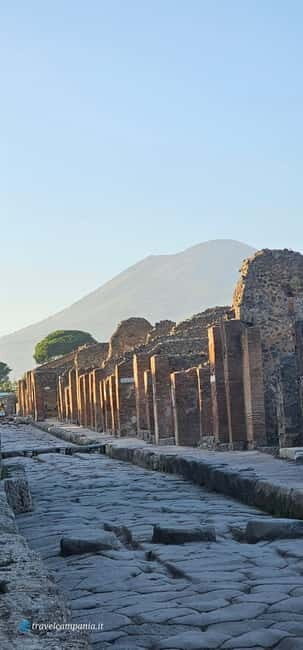 Pompeii: Tour with Archaeologist Guide & Skip-the-Line Entry - House of Menander: Homes That Make Roman Life Feel Real