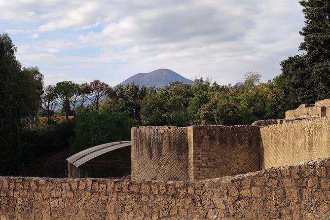 Pompeii: Tour with Archaeologist Guide & Skip-the-Line Entry - Your First Mission: The Welcome Box Meeting Point