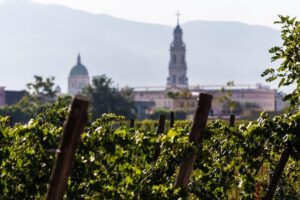 Pompeii Vineyard Escape: Private Wine Tasting & Lunch - Where to meet, and how to plan your timing
