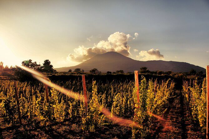 Pompeii with Wine Tasting and Lunch from Naples - Pompeii guided walk: what you’ll get out of the ruins