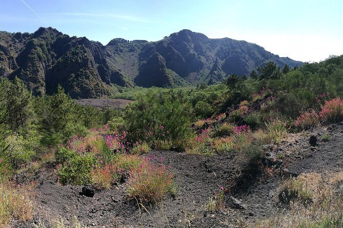 Private Day Tour to Vesuvius, Herculaneum & Pompeii with Pick Up - Herculaneum After Pompeii: Smaller, Cleaner, Easier to Notice