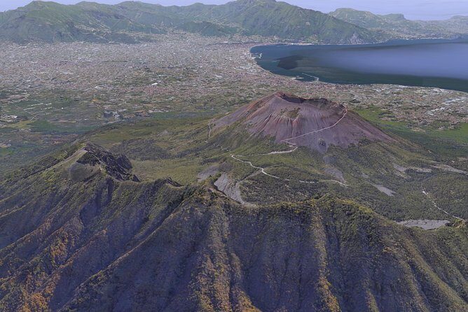 Private Day Tour to Vesuvius, Herculaneum & Pompeii with Pick Up - Casa dei Cervi: Wealth and Scale in a Compact Area