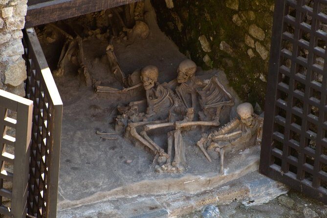 Private Day Tour to Vesuvius, Herculaneum & Pompeii with Pick Up - Houses in Pompeii: Casa del Fauno and Casa dei Vettii