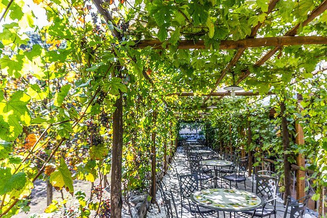 Private Pompeii Tour with Organic Wine Tasting & Lunch - Pompeii plus wine: the smartest half-day combo