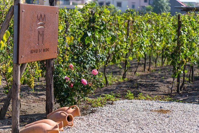 Private Pompeii Tour with Organic Wine Tasting & Lunch - Pompeii Archaeological Park: two hours with a licensed guide