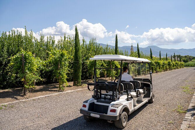 Private Pompeii Tour with Organic Wine Tasting & Lunch - The lunch: traditional three-course meal (and vegetarian support)