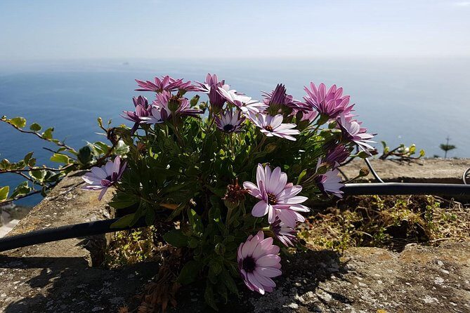 Private Transfer from Naples to Positano - Comfort Details That Make a Difference on a Short Trip