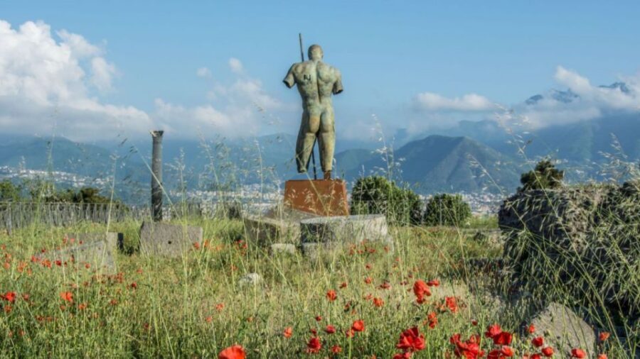 Rome: Pompeii Tour with Wine and Lunch by High Speed Train - Price and Logistics: Is $239 Good Value for This Rome-to-Pompeii Day?