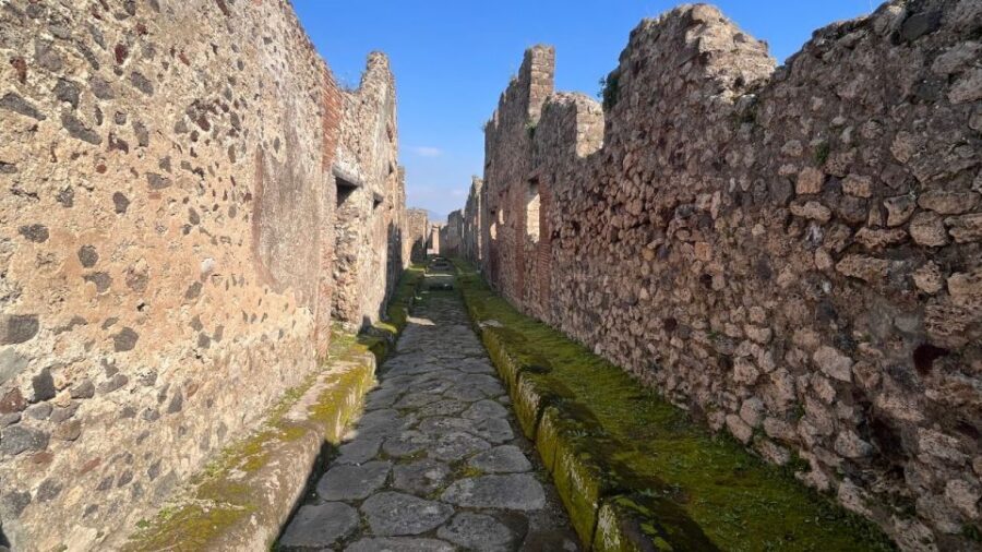 Rome: Pompeii Tour with Wine and Lunch by High Speed Train - Who This Tour Best Fits (And Who Might Want Another Option)