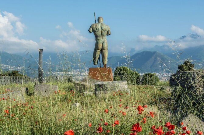 Rome to Pompeii Guided Tour with Wine & Lunch by High Speed Train - Who this tour suits best (and who should consider another option)