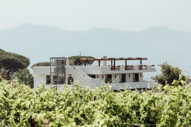 Scenic Wine Tasting & Lunch on the Slopes of Vesuvius from Naples - Why the Vesuvius Slopes Change the Whole Wine Tasting