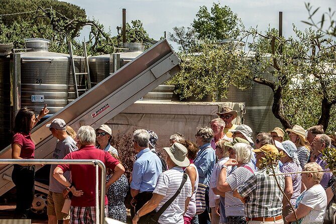 Scenic Wine Tasting & Lunch on the Slopes of Vesuvius from Naples - Lunch on the Farm: What You Eat and Why It Matters