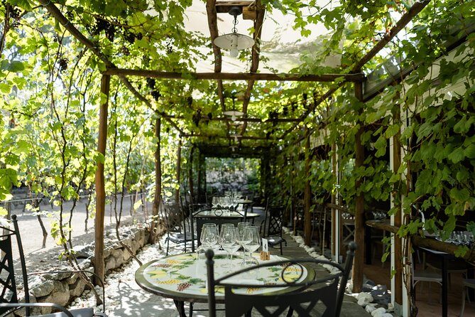 Seafood Lunch & Wine Tasting with Scenic Golf Cart Tour - Four-Course Seafood Lunch: What’s on the Menu and What to Expect
