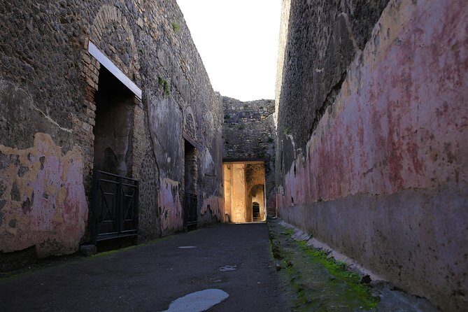 Skip the Line Guided Tour of Pompeii led by an Archaeologist - Archaeological Park of Pompeii: Orientation Inside a World Heritage Site