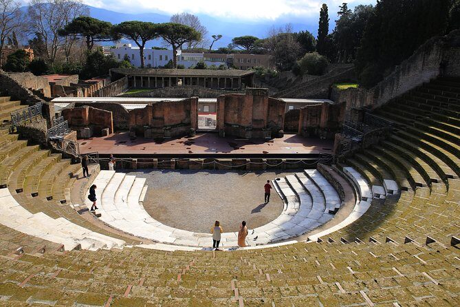 Skip-the-Line Half-Day Private Tour Ancient Pompeii Highlights with Native Guide - Pompeii Archaeological Park time: how the guide stitches the puzzle