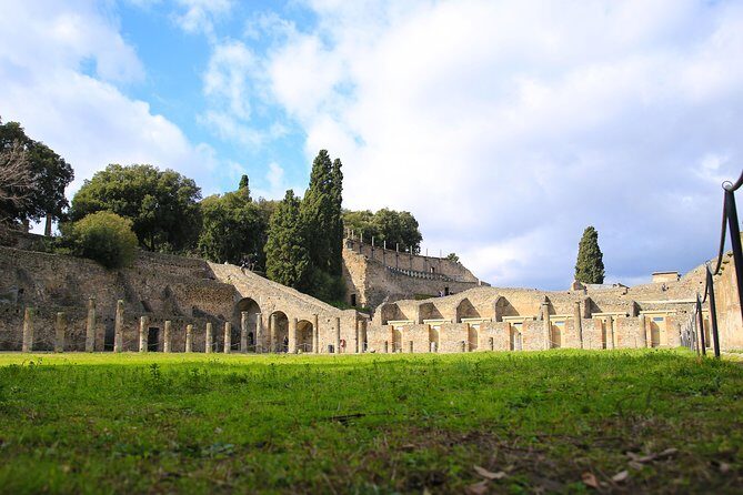 Skip-the-Line Half-Day Private Tour Ancient Pompeii Highlights with Native Guide - Entering Pompeii fast: the real value of the half-day plan