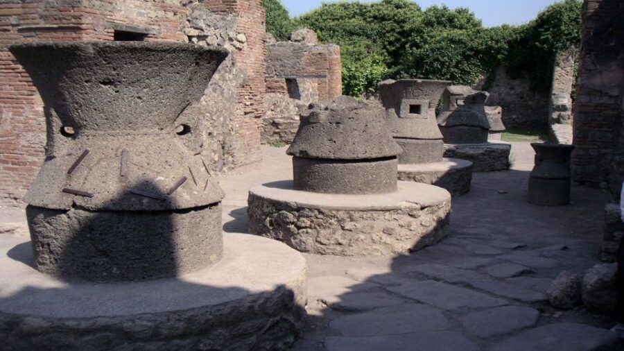 Sorrento: Pompeii & Herculaneum Tour with Skip-the-Line - From Sorrento: the ride that sets the pace