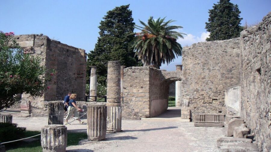 Sorrento: Pompeii & Herculaneum Tour with Skip-the-Line - Comfort, group size, and what to watch for