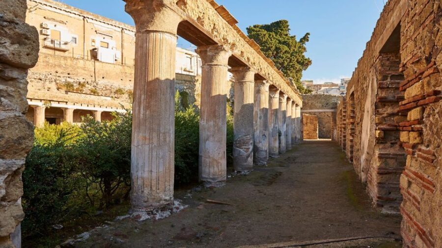 Sorrento: Pompeii & Herculaneum Tour with Skip-the-Line - Should you book the Sorrento Pompeii & Herculaneum skip-the-line tour?
