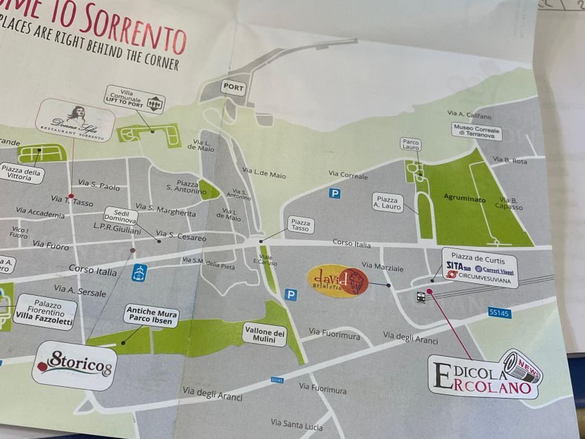 Sorrento: Skip-the-Line Pompeii Express Tour by Train - Getting started: Amelia at Sorrento station (and your 09:30 vs 10:15 choice)