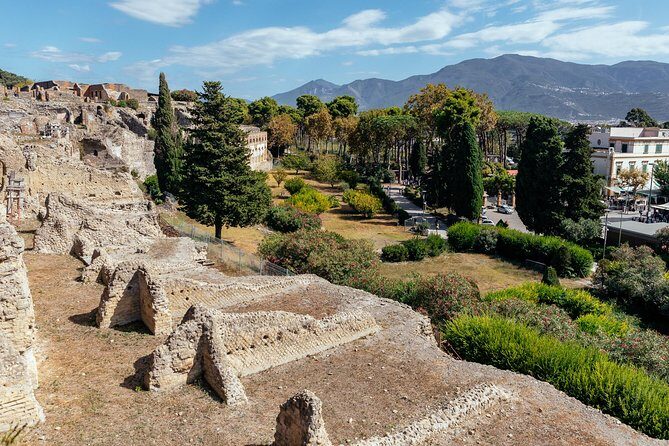 The Ultimate Ruins of Pompeii and Herculaneum Private Day Trip - Two hours in Pompeii: theatre, baths, brothel, and forum