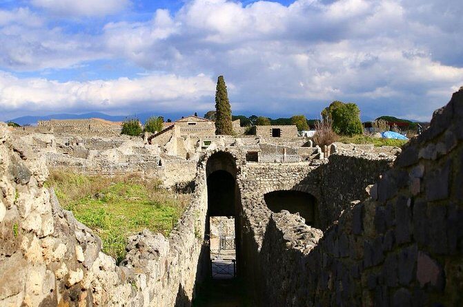 Tour of Pompeii for families with Transfer from Naples & Sorrento - The guide matters: how the best family tours keep everyone included