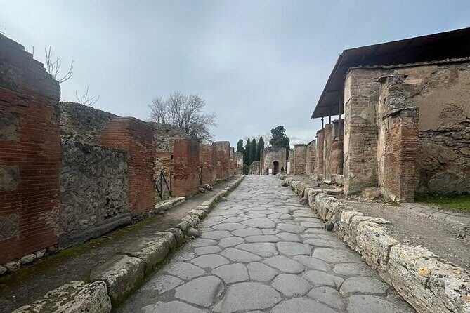 Tramvia Napoli Daily Trip to Pompeii Ruins - Pickup in Naples: how the stops and time waves work