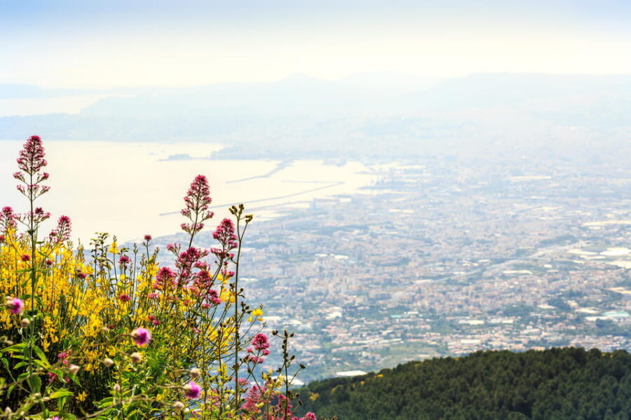 Vesuvio Skip The Line Ticket With Digital Audioguide - The Great Cone and crater time: what the audioguide is for