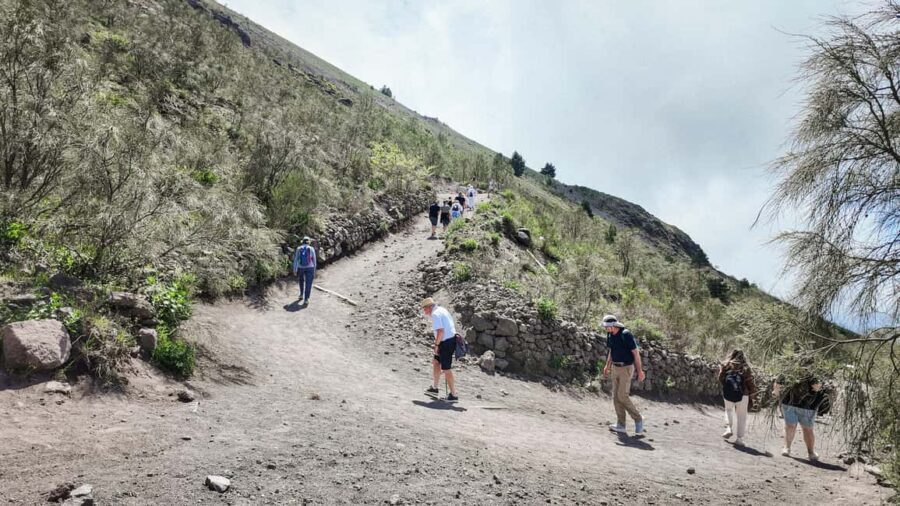 Vesuvius Volcano Experience: from Naples, Pompeii and Rome - Views You’ll Actually Notice: Gulf of Naples and Pompeii in One Frame