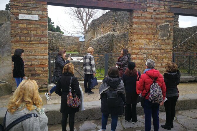 Visit Pompeii with an expert professional guide (2/3 hours) - Meeting at Via Villa dei Misteri: a practical start